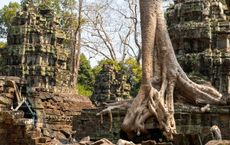 Article Image for A Guide to Conscious Travel in Southeast Asia