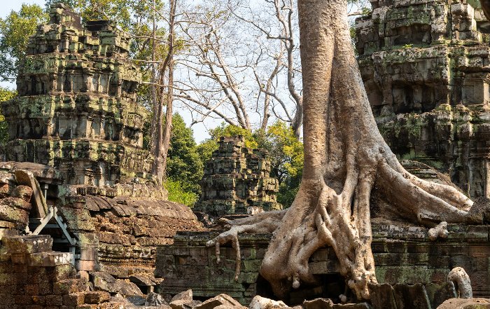 Article Image for A Guide to Conscious Travel in Southeast Asia