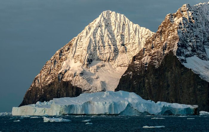 Article Image for Antarctic Tourism and Its Environmental Cost