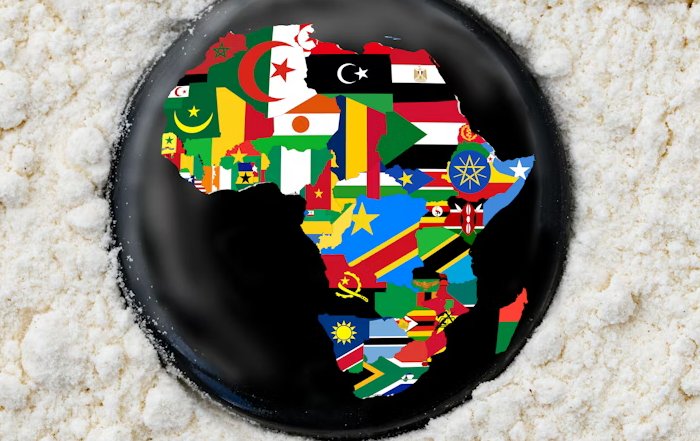 Article Image for Bridging the Digital Divide in African Nations