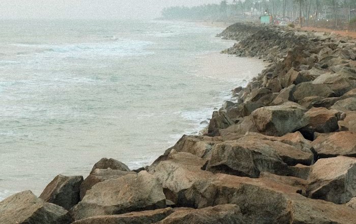 Article Image for Coastal Erosion and Community Response