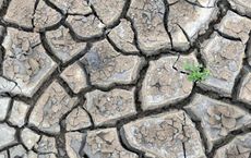 Article Image for Environmental Challenges Shaping Policy Around the World