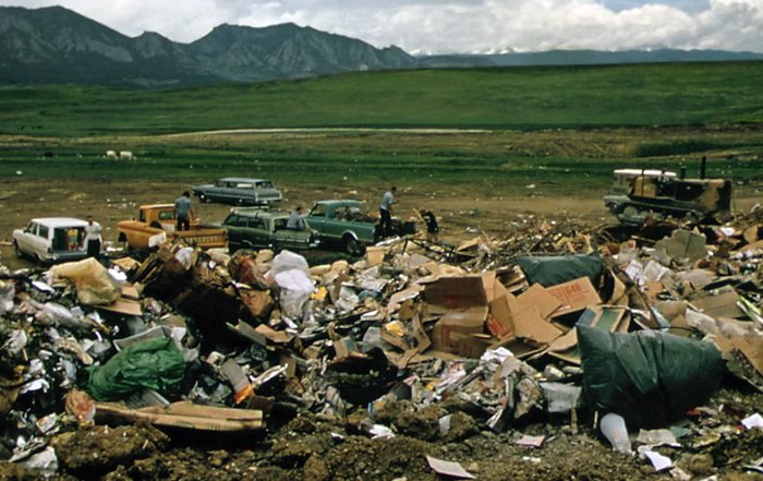 Article Image for Environmental Policies Influencing Global Cooperation