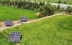 Article Image for Green Technology Solutions for a Sustainable Future