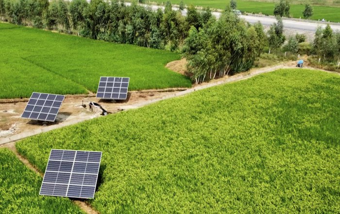 Article Image for Green Technology Solutions for a Sustainable Future