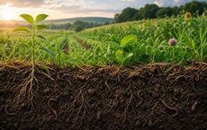 Article Image for How Regenerative Agriculture Rebuilds Healthy Soil