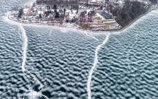 Article Image for Marine Permaculture and Carbon Sequestration