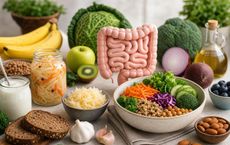 Article Image for Practical Ways to Support Gut Health Through Everyday Meals