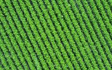 Article Image for Precision Agriculture in the American Midwest