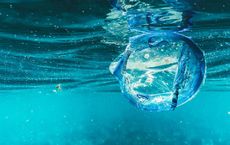 Article Image for Protecting Ocean Health Worldwide