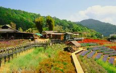 Article Image for Revitalizing Rural Communities Through Tourism