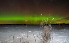 Article Image for The Allure of the Northern Lights in Arctic Cultures