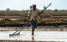 Article Image for The Evolution of Fair Trade in Global Supply Chains