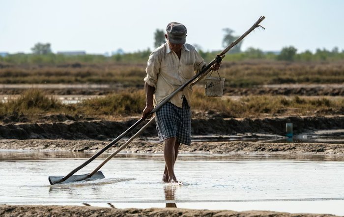 Article Image for The Evolution of Fair Trade in Global Supply Chains