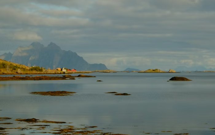 Article Image for The Legacy of Viking Heritage in Modern Scandinavia