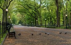 Article Image for The Rise of Sustainable Living Across Major Cities