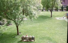 Article Image for Urban Green Spaces Transforming City Life