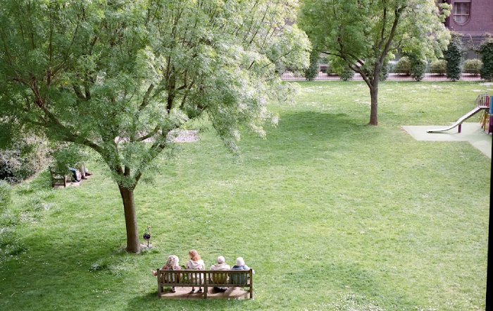 Article Image for Urban Green Spaces Transforming City Life
